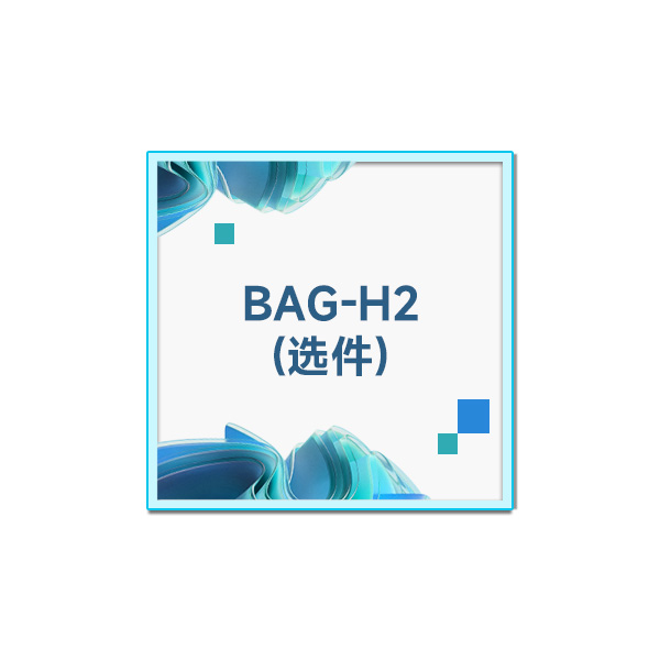 BAG-H2